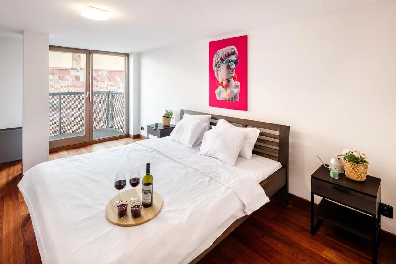 Duplex Apartment With 3 Bedrooms 프라하